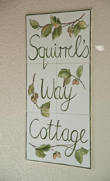 Squirrels Way Cottages Кейптаун Екстериор снимка